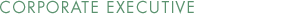 Corporate Executive