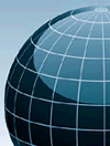 Global Defined Contribution Puzzle