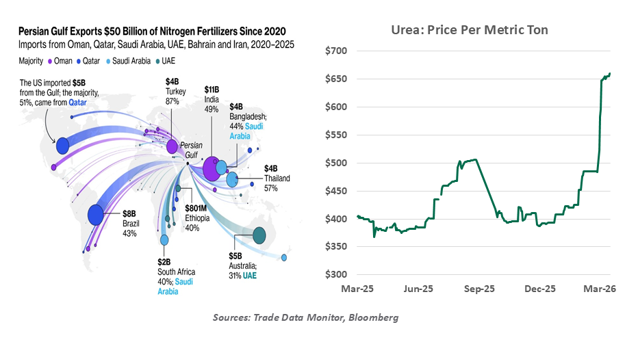 sports-betting-market