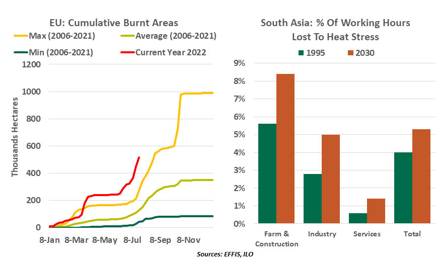 Chart: EU: Burnt areas & South Asia: % of working hours lost to heat stress